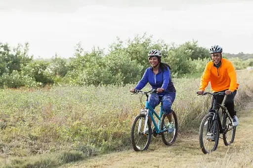 Bike Rental 